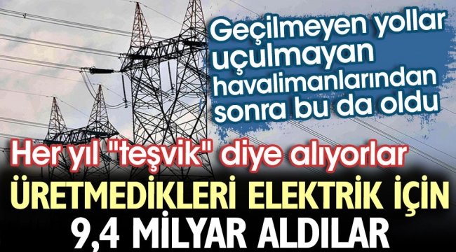 Türkiye böyle soyulmaya devam ediyor!Üretmedikleri elektrik için 9,4 milyar TL'lik teşvik