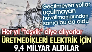 Türkiye böyle soyulmaya devam ediyor!Üretmedikleri elektrik için 9,4 milyar TL'lik teşvik