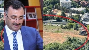 Ak Partili Mustafa Kara, Cumhurbaşkanı Erdoğan'ın evinin önündeki ağaçları kesti