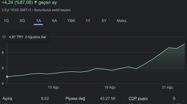 Bir ayda yüzde 88 yükselen kamu bankası hisselerinde işlemler durduruldu