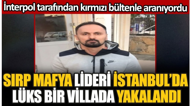 Sırp mafya lideri İstanbul'da lüks bir villada saklanırken yakalandı. İnterpol tarafından kırmızı bültenle aranıyordu