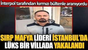 Sırp mafya lideri İstanbul'da lüks bir villada saklanırken yakalandı. İnterpol tarafından kırmızı bültenle aranıyordu