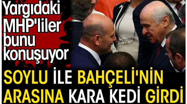Soylu ile Bahçeli'nin arasına kara kedi girdi. Yargıdaki MHP'liler bunu konuşuyor. Barış Pehlivan açıkladı