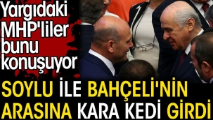 Soylu ile Bahçeli'nin arasına kara kedi girdi. Yargıdaki MHP'liler bunu konuşuyor. Barış Pehlivan açıkladı