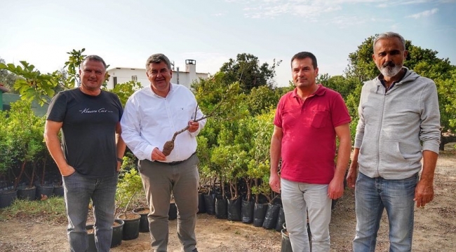 Çeşme Sakız piyasasında bir dünya markası olacak