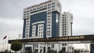 Tarım Bakanlığı'ndaki yolsuzluğun tutanakları: 'Devletin bekası için' yalan beyan vermişler!