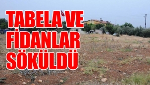 AKP'li müteahhit şehit ormanına göz dikti: Adım adım işgal...