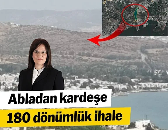 Bodrum'daki 180 bin metrekarelik araziyi alan Bakan Varank'ın kuzeninin ablası, ihaleyi veren Çevre Bakanlığı'nda bakan yardımcısıymış