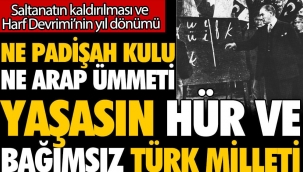 Ne padişah kulu ne de Arap ümmeti yaşasın hür ve bağımsız Türk milleti... Saltanatın kaldırılması ve Harf Devrimi'nin yıl dönümü