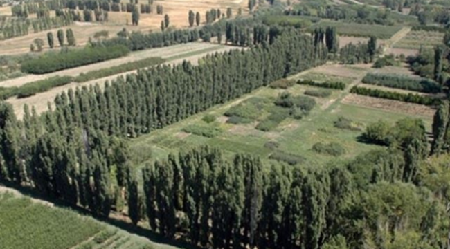 Yargı kararını verdi: Atatürk Orman Çiftliği'nde plan değişikliğiyle vakfa kiralanan alana iptal