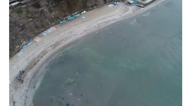 Avcılar'da deniz 15 metre çekildi