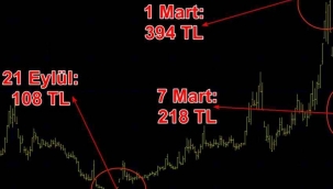 Elektrik çarptı! '700 TL olacak' dediler, yatırımcı bir haftada yüzde 40 zarar etti