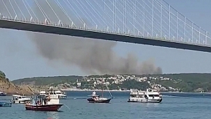 Beykoz'da orman yangını