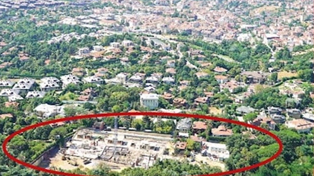 Küçük Çamlıca'da AKP'li eski belediye başkanının arazisindeki ağaç tahribatı tepki çekti