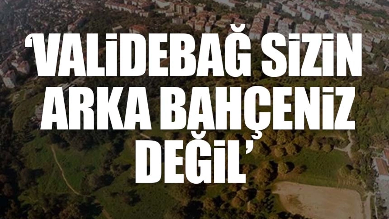 AKP'li belediye Koruma Kurulu kararını tanımadı: Sit alanında hukuksuz işlem