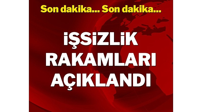 2023 Kasım ayı işsizlik rakamları açıklandı