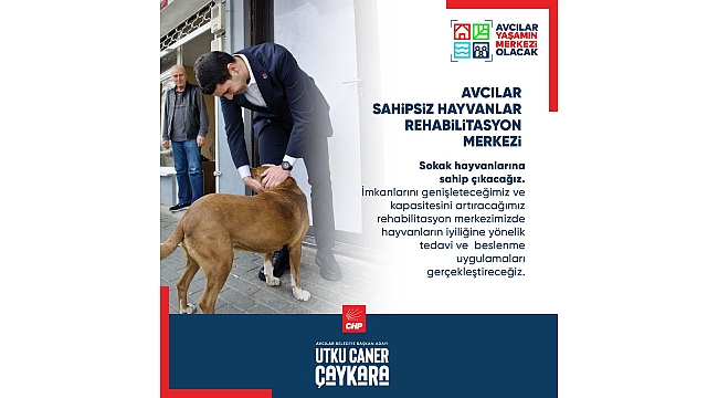 Chp Avcılar Adayı Utku Caner Çaykara'dan bir müjde daha "Avcılar Sahipsiz Hayvanlar Rehabilitasyon Merkez"