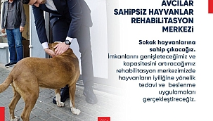 Chp Avcılar Adayı Utku Caner Çaykara'dan bir müjde daha "Avcılar Sahipsiz Hayvanlar Rehabilitasyon Merkez"