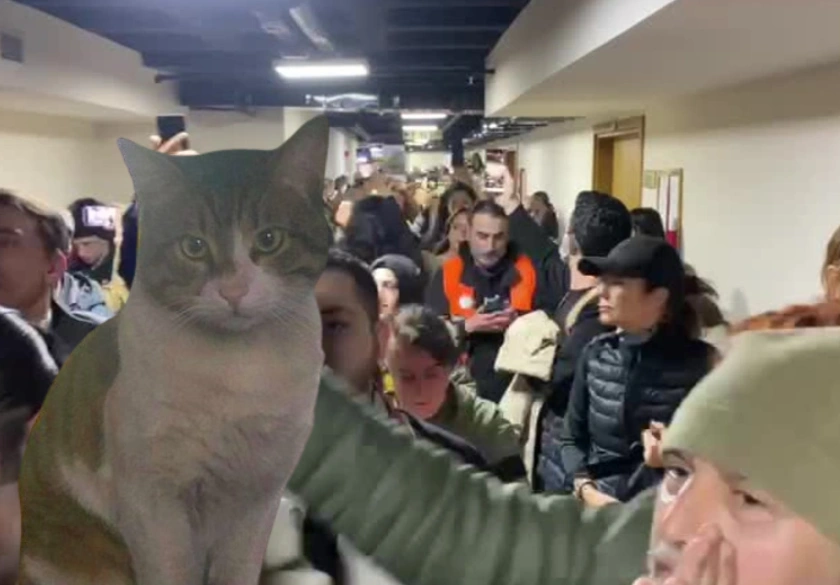 Eros'un katiline iyi hal indirimi: 2 yıl 6 ay para cezasına çevrildi