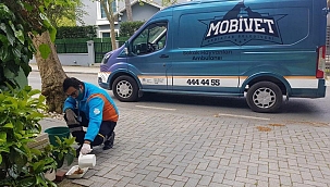 BAŞKAN RIZA AKPOLAT: SOKAK HAYVANLARI KONUSU BÜTÜNCÜL BİÇİMDE ELE ALINMALI