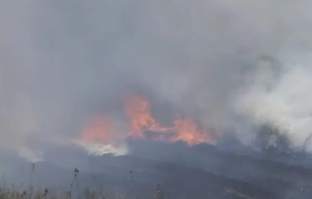 İstanbul Arnavutköy'de otluk alanda yangın: Giderek yayılıyor!