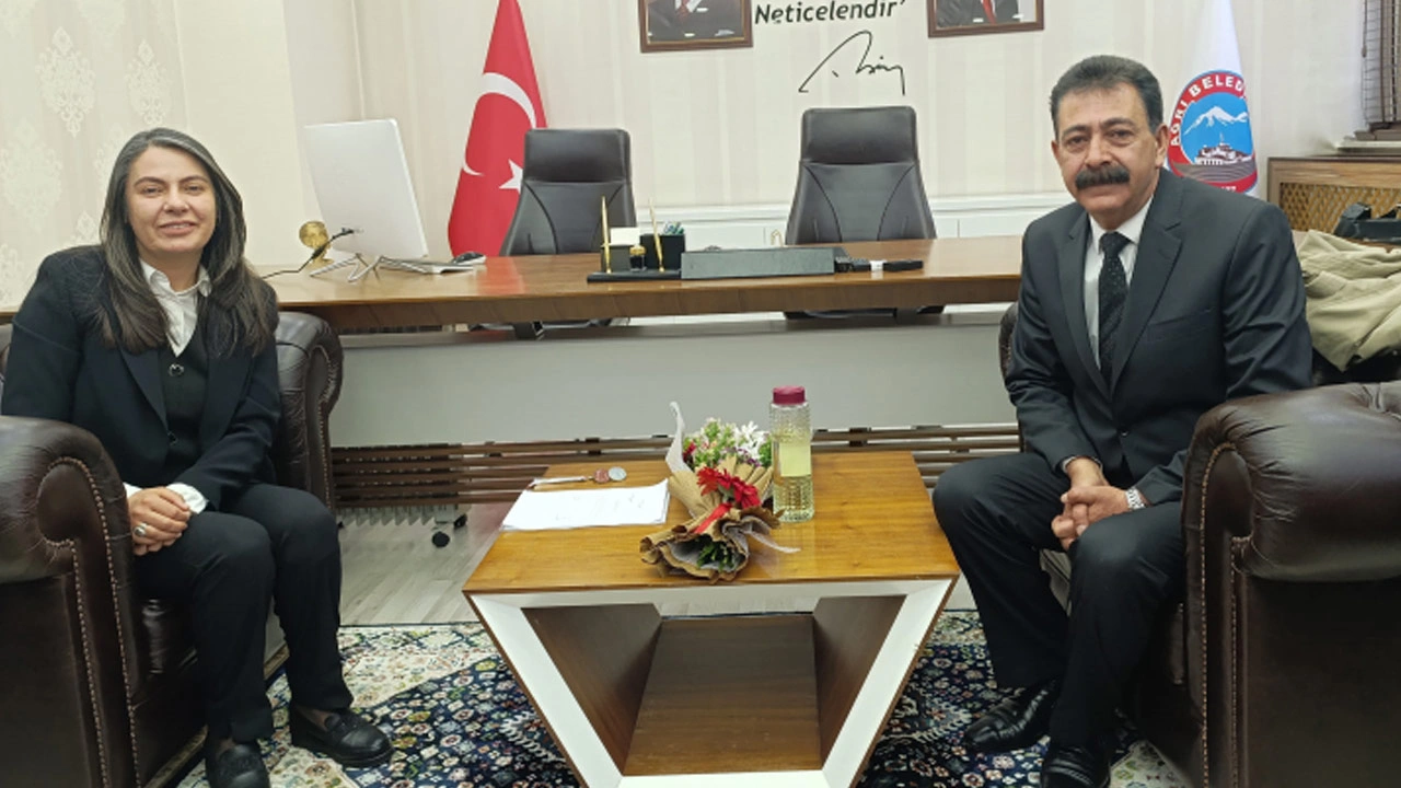 DEM Partili başkanlar birbirine girdi