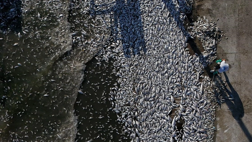 Bakanlıktan İzmir Büyükşehir Belediyesi'ne 1.8 milyon TL ceza