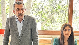 Tunceli Belediyesi Eş Başkanı Birsen Orhan'a ev hapsi