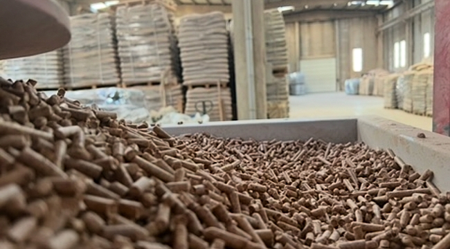 Soğuk Havalar Çam Peleti Talebini Artırdı: Pelstar Zirvede