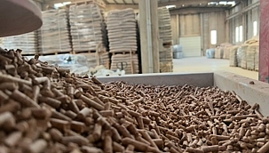 Soğuk Havalar Çam Peleti Talebini Artırdı: Pelstar Zirvede