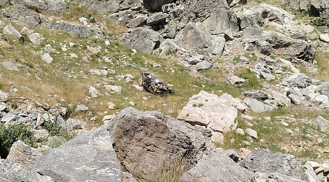 Batman'da bilirkişi ekibini taşıyan araç şarampole yuvarlandı: 5 kişi öldü