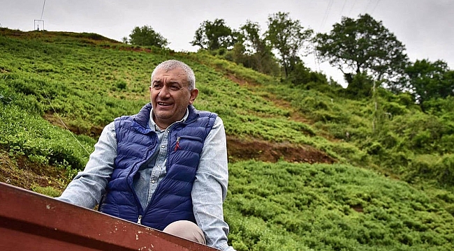 Fındıklı Belediye Başkanı Ercüment Şahin Çervatoğlu'na yumruklu saldırı!