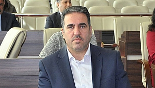 AKP'li meclis üyesi kadın güvenliği darp etti