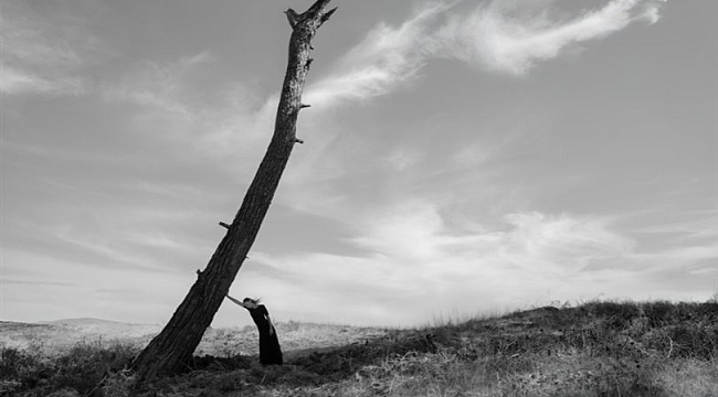 YVES ROCHER VAKFI VE MURATHAN ÖZBEK'TEN "YANIBAŞINDA": AĞAÇLARLA KURULAN BİR DOSTLUK HİKAYESİ