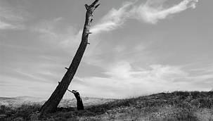 YVES ROCHER VAKFI VE MURATHAN ÖZBEK’TEN “YANIBAŞINDA”: AĞAÇLARLA KURULAN BİR DOSTLUK HİKAYESİ